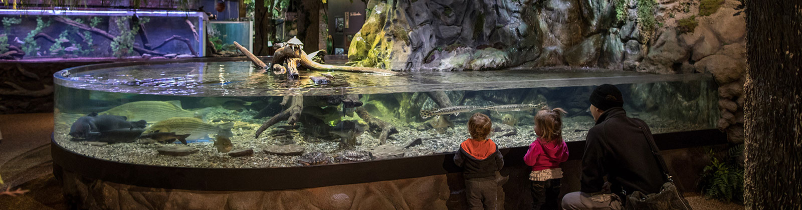 Ohio Lakes And Rivers at Greater Cleveland Aquarium