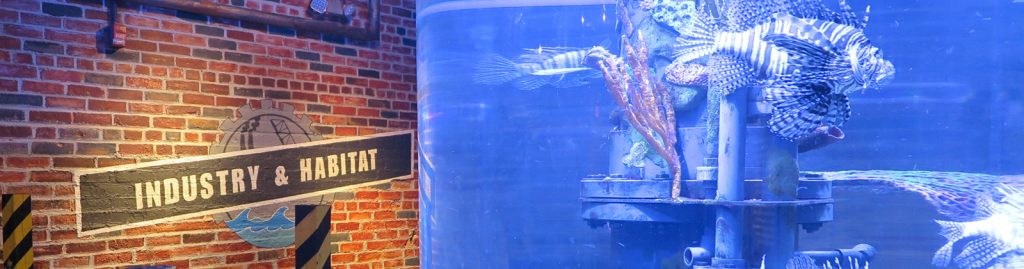 Learn the history behind the Powerhouse and get 360-degree views of fascinating fish from the Pacific.