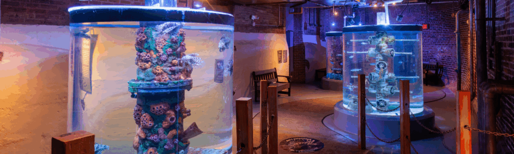 Learn the history behind the Powerhouse and get 360-degree views of fascinating fish from the Pacific.