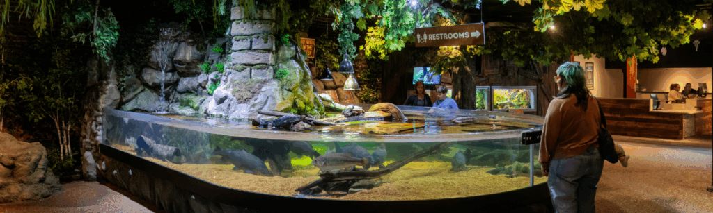 Ohio Lakes And Rivers at Greater Cleveland Aquarium
