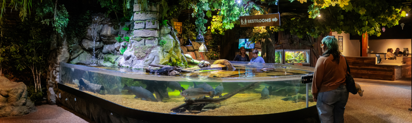 Ohio Lakes And Rivers at Greater Cleveland Aquarium
