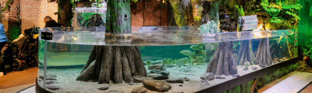 Tropical Forest at Greater Cleveland Aquarium