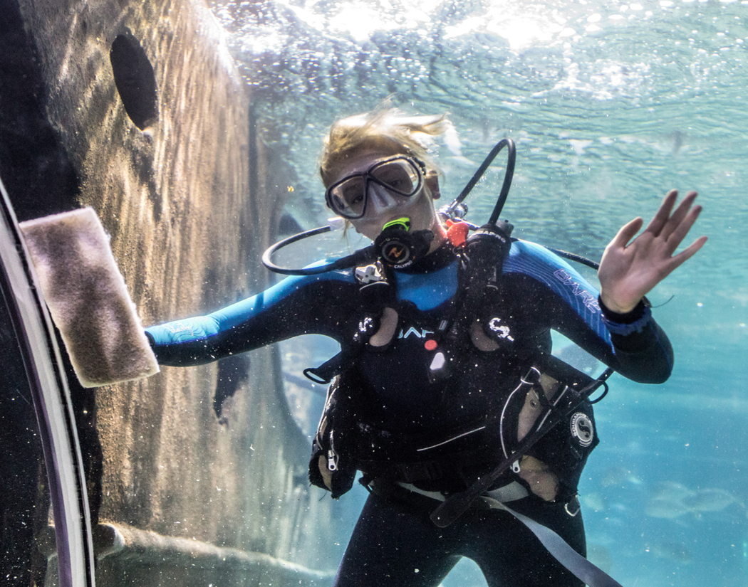 Diver cleaning the tank