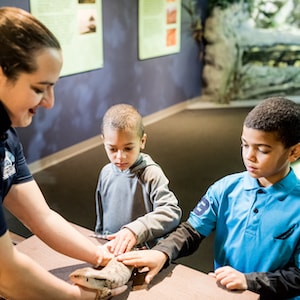 Animal Encounter