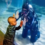 Toddler interacting with Diver at Greater Cleveland Aquarium