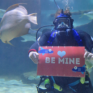Underwater-Greeting - Be Mine Underwater-Greeting - Be Mine