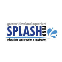 Splash-Fund