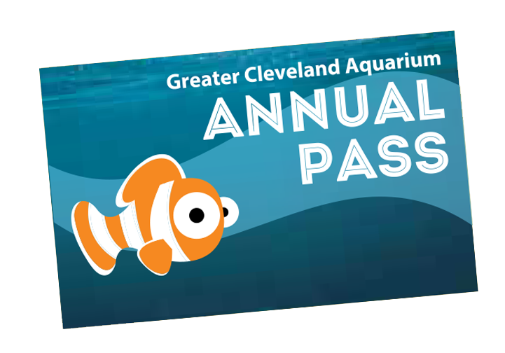 Annual Pass at Greater Cleveland Aquarium