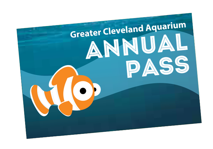 Annual Pass at Greater Cleveland Aquarium Annual Pass at Greater Cleveland Aquarium
