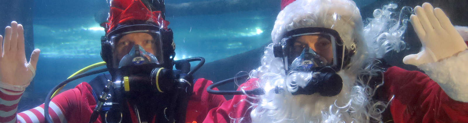 Scuba Claus Merry Meet & Greets