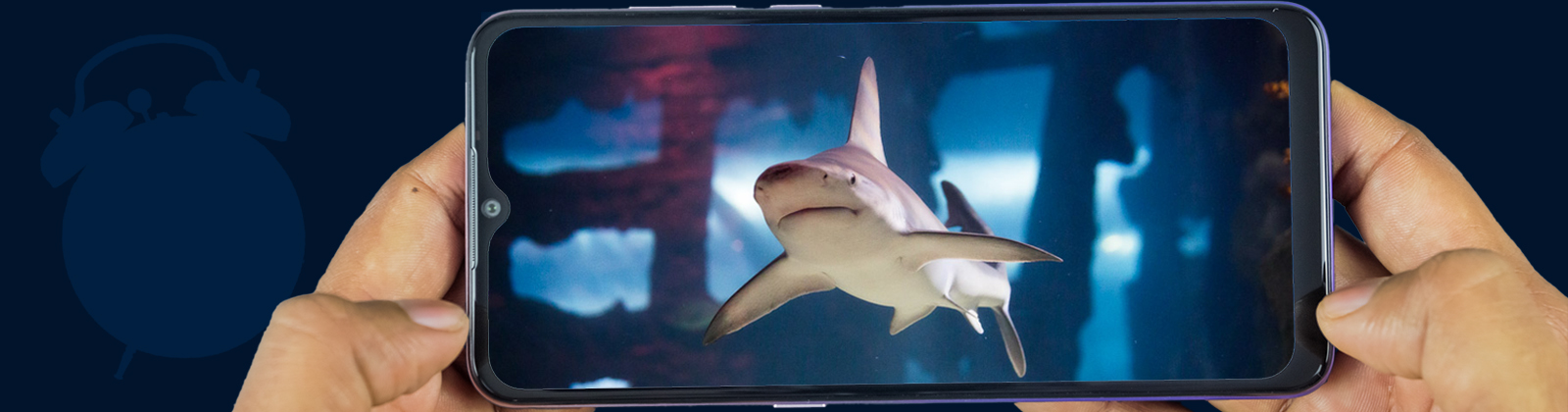 Wake Up with Sharks!