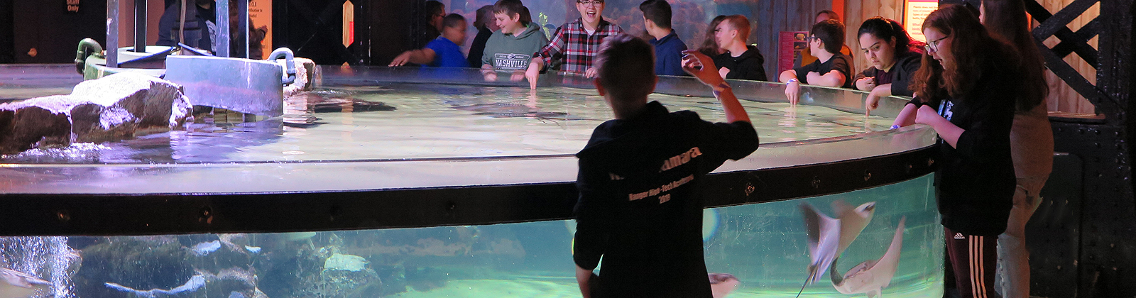 School Group at Touchpool