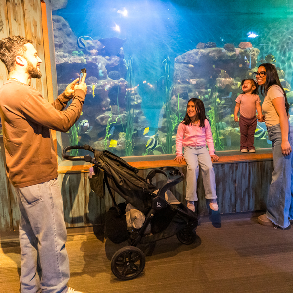 FamilyTropicalReefSq