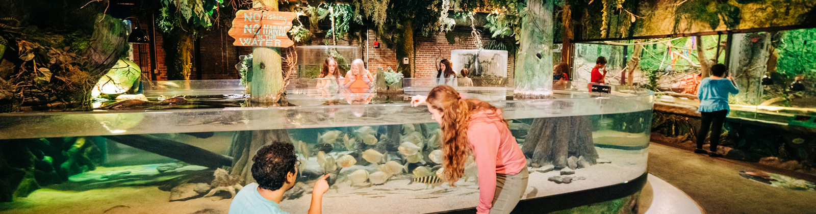 Tropical Gallery.