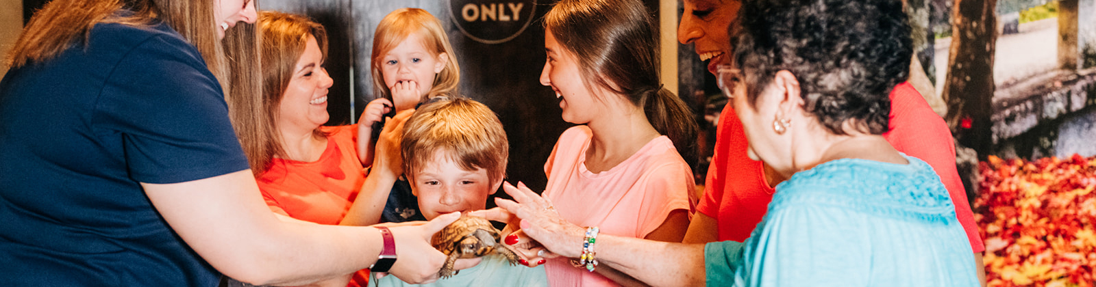 Animal encounter with a box turtle and a group of guests.