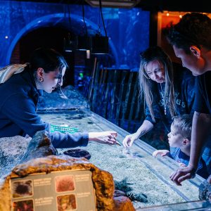 Family at the invertebrate touchpool