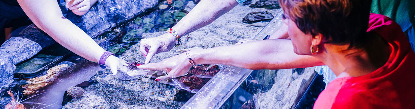 Touch Pool at Greater Cleveland Aquarium