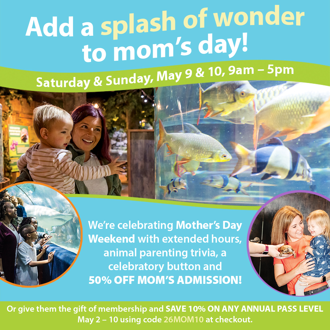 Mother's Day Weekend