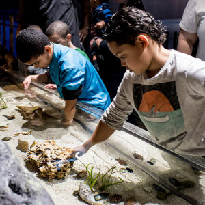 Homeschool kids at Greater Cleveland Aquarium.