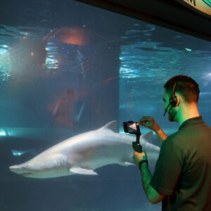 Virtual tour at Greater Cleveland Aquarium.