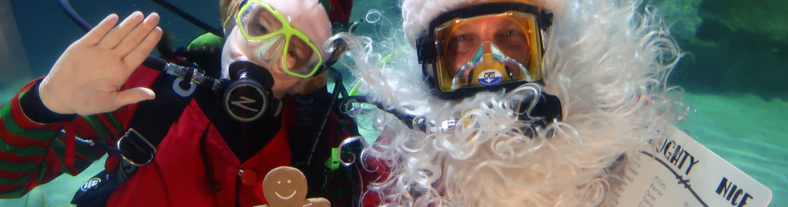 Scuba Claus Drop-In Days