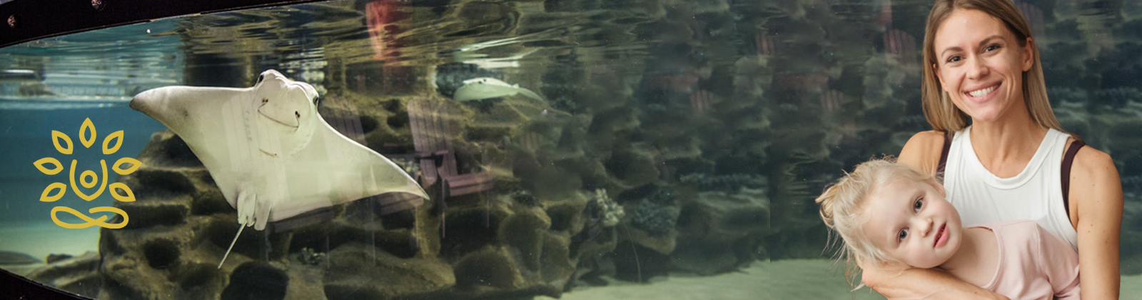 Stingrays & Yoga for Kids